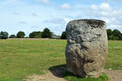 le menhir de Vaumoisson