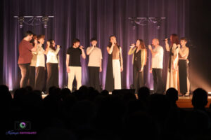 Des chansons plein la tete