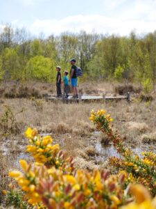 promenades tourbiere cent vergees